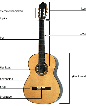 gitaar onderdelen